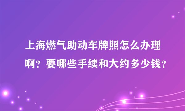 上海燃气助动车牌照怎么办理啊？要哪些手续和大约多少钱？