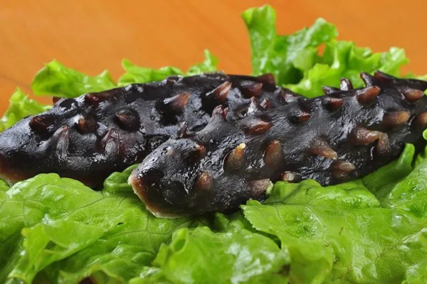 海参的营养价值和功效