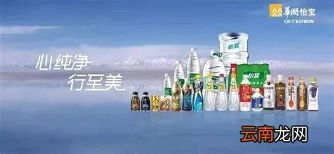 鹤城人才网，211人才网？？