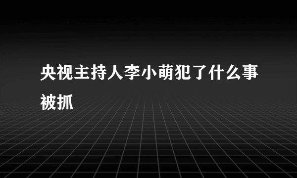 央视主持人李小萌犯了什么事被抓