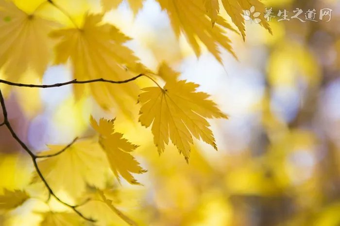 什么东西避邪最厉害 十大带在身上辟邪物品