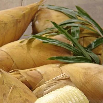 尿毒症透析费用多少