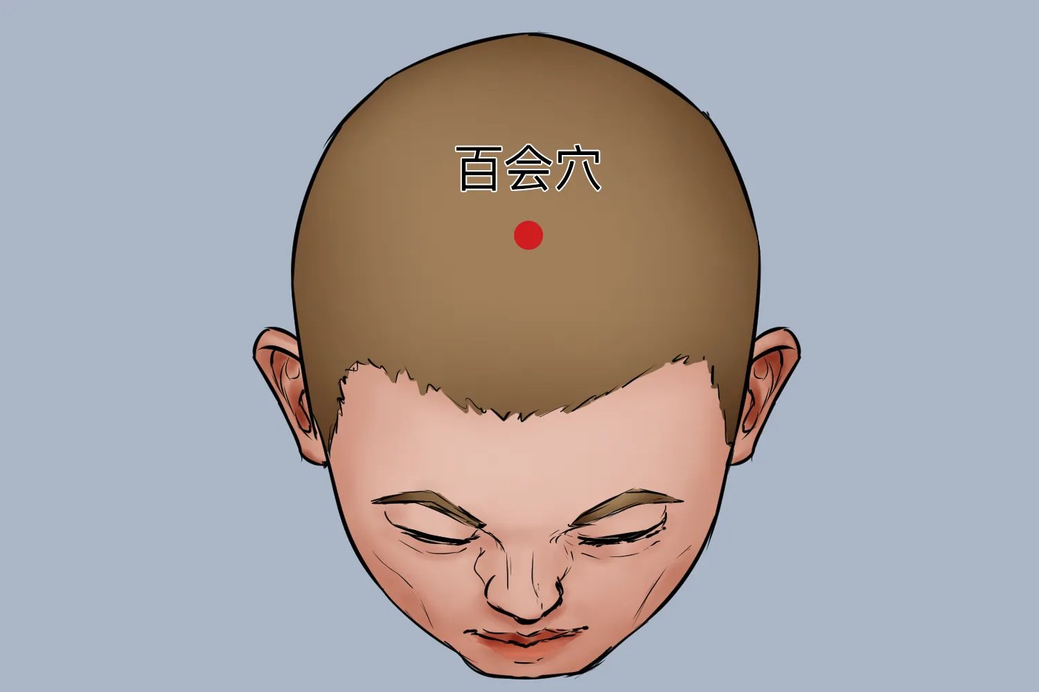 百会的准确位置图和作用