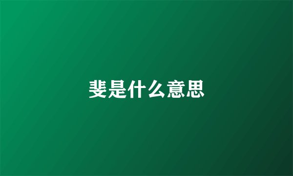 斐是什么意思