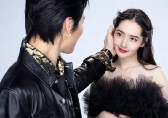 向佐郭碧婷为何会再次申请注册结婚呢？