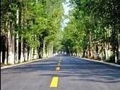 饿了么将推出多等5分钟功能，用户的反馈情况如何?