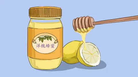 马蜂窝的功效与作用