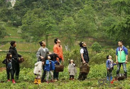 爸爸去哪儿第二季人物名单