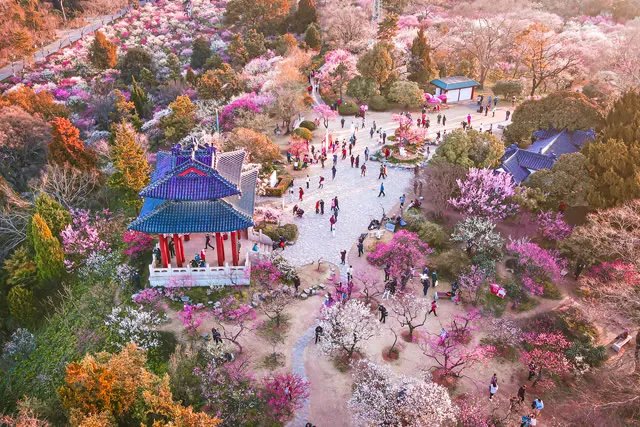 中国十大春季旅游景点