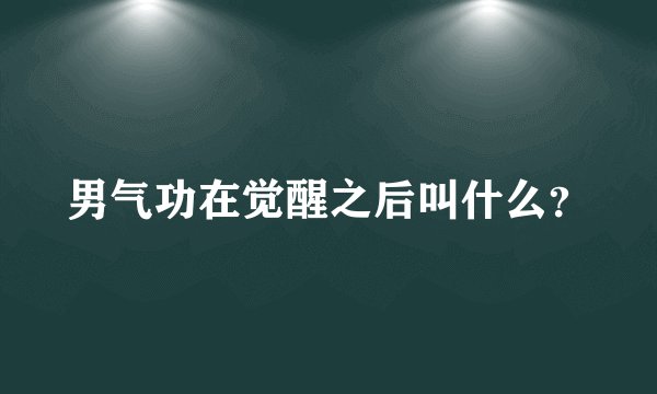 男气功在觉醒之后叫什么？