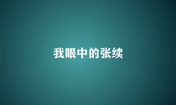 我眼中的张续