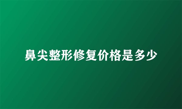 鼻尖整形修复价格是多少