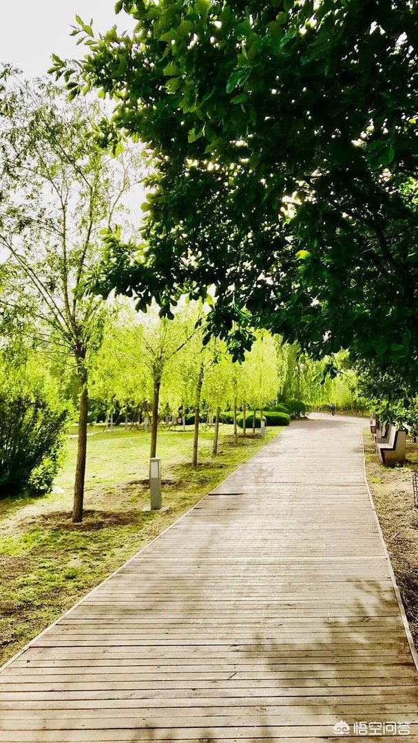 什么是真正的高贵？