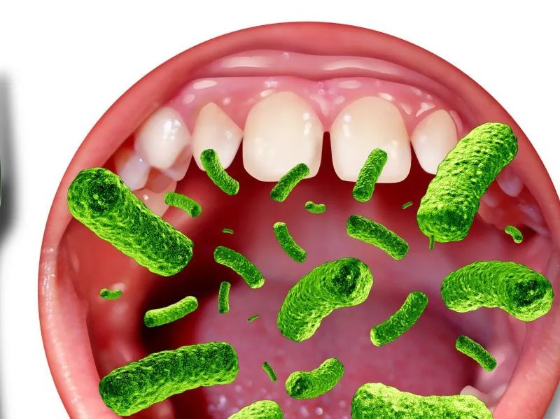 人体寄生虫卵的简介