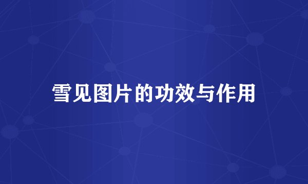 雪见图片的功效与作用