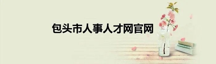 包头市人事人才网官网