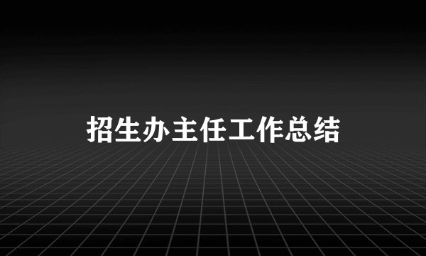 招生办主任工作总结