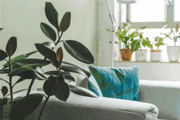 2020十大网络流行歌曲：没有人永远年轻，但永远有人年轻