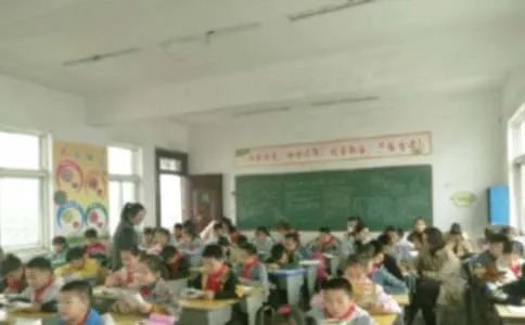 自己的花是让别人看的教学设计