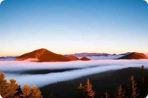 阴影的意思是什么