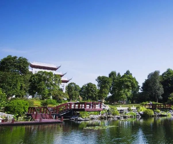 广州海珠湿地公园好玩嘛?