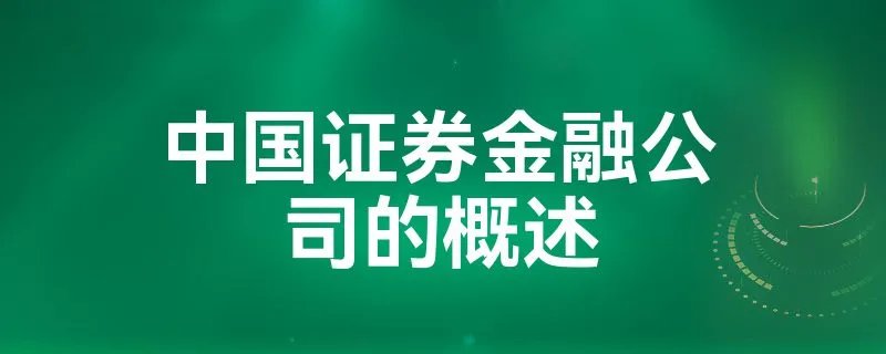 中国证券金融公司的概述