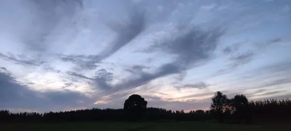 晚上看到正能量你懂我意思