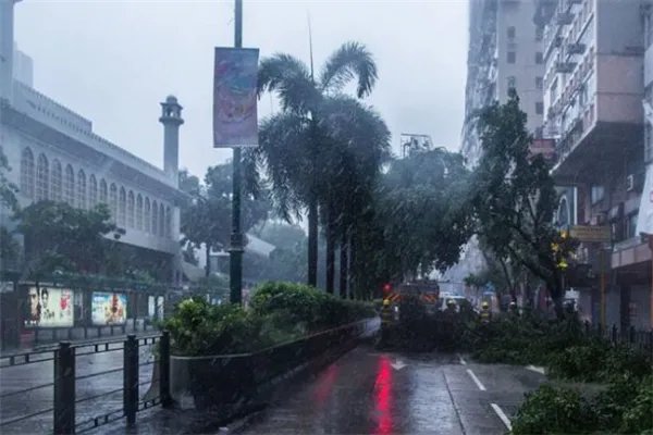 世界上最强台风排名:诺拉上榜 ,第四损失了6.94亿美元