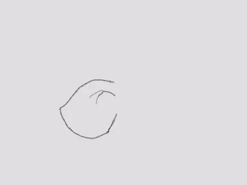 可爱的小猪是怎么画的