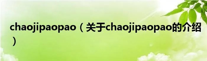chaojipaopao（关于chaojipaopao的介绍）