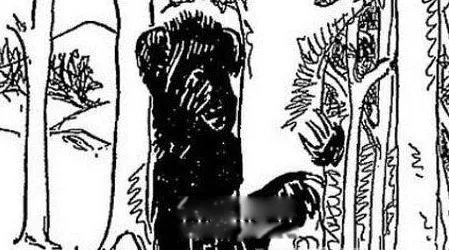 臭鼬猿长什么样子的图片 臭鼬猿真的存在吗