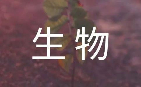 生物教学反思