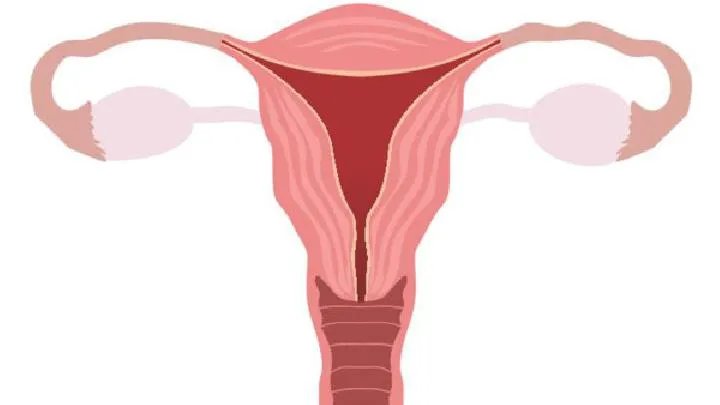 输卵管造影术如何进行