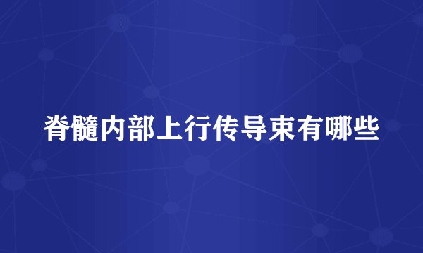 脊髓内部上行传导束有哪些