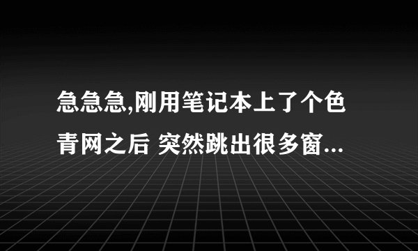 急急急,刚用笔记本上了个色青网之后 突然跳出很多窗口然后电脑死机,按了重启之后就变黑屏,完全开不了机