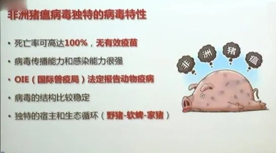 中国解析猪瘟病毒：这到底是怎么回事？