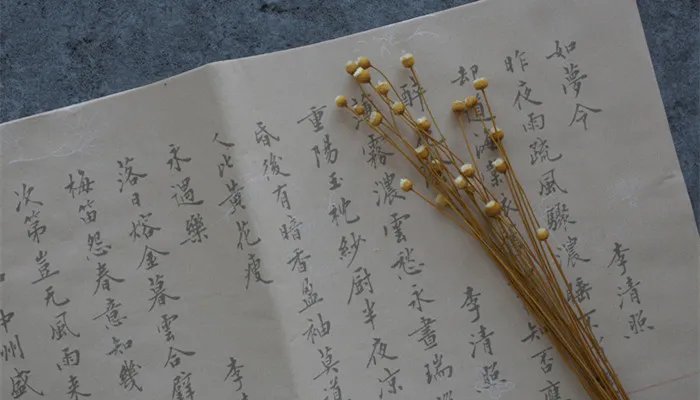 汉字的起源和来历