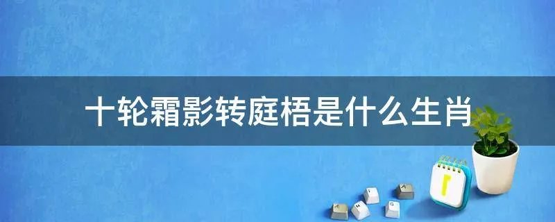十轮霜影转庭梧是什么生肖