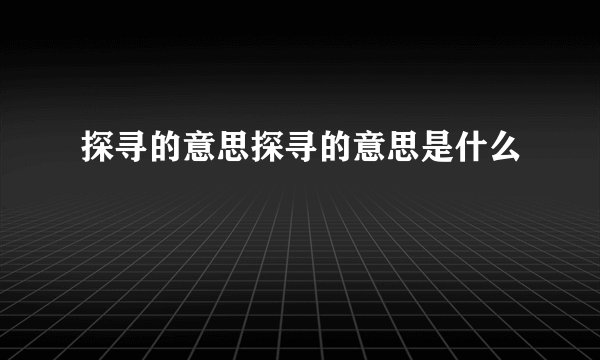 探寻的意思探寻的意思是什么