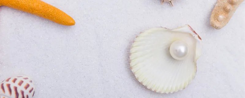 斛珠夫人是什么意思 斛珠夫人啥意思