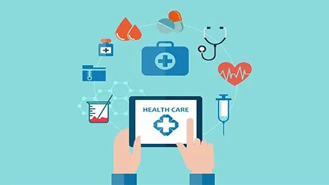 胆结石吃什么最好