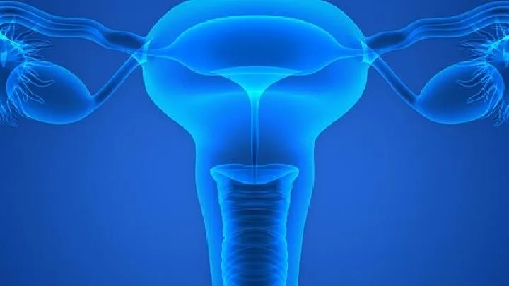 卵巢出血病人的饮食宜忌