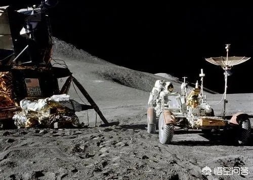 如何防治外来生物入侵？