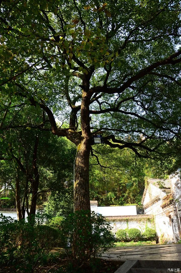 动力强劲，满足所需，瑞虎7让家人们满意