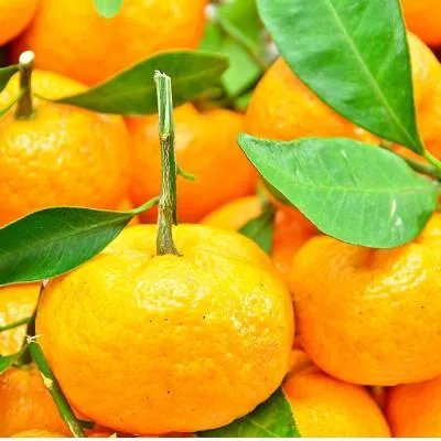 只喝啤酒会胖吗