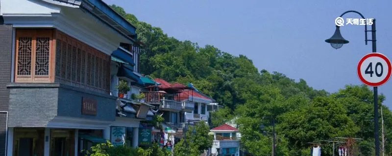 鹤岗是哪个省的城市