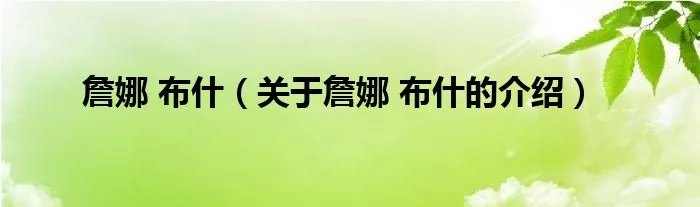 詹娜 布什（关于詹娜 布什的介绍）