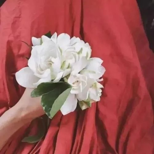 2020抖音超火朋友圈背景图分享