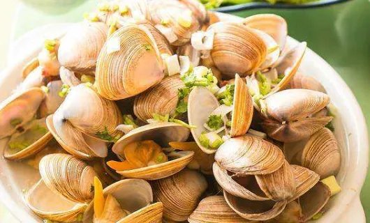 贝壳的做法怎样做好吃?