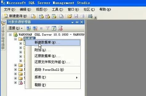 sql2008
